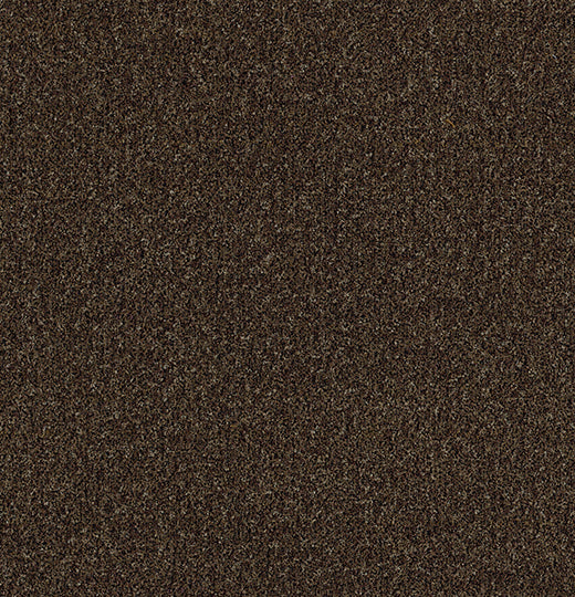 Forbo Coral Brush 5774 Biscotti Brown – Schoonloopmat op maat