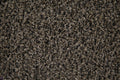 Forbo Coral Brush 5714 Shark Grey – Schoonloopmat op maat