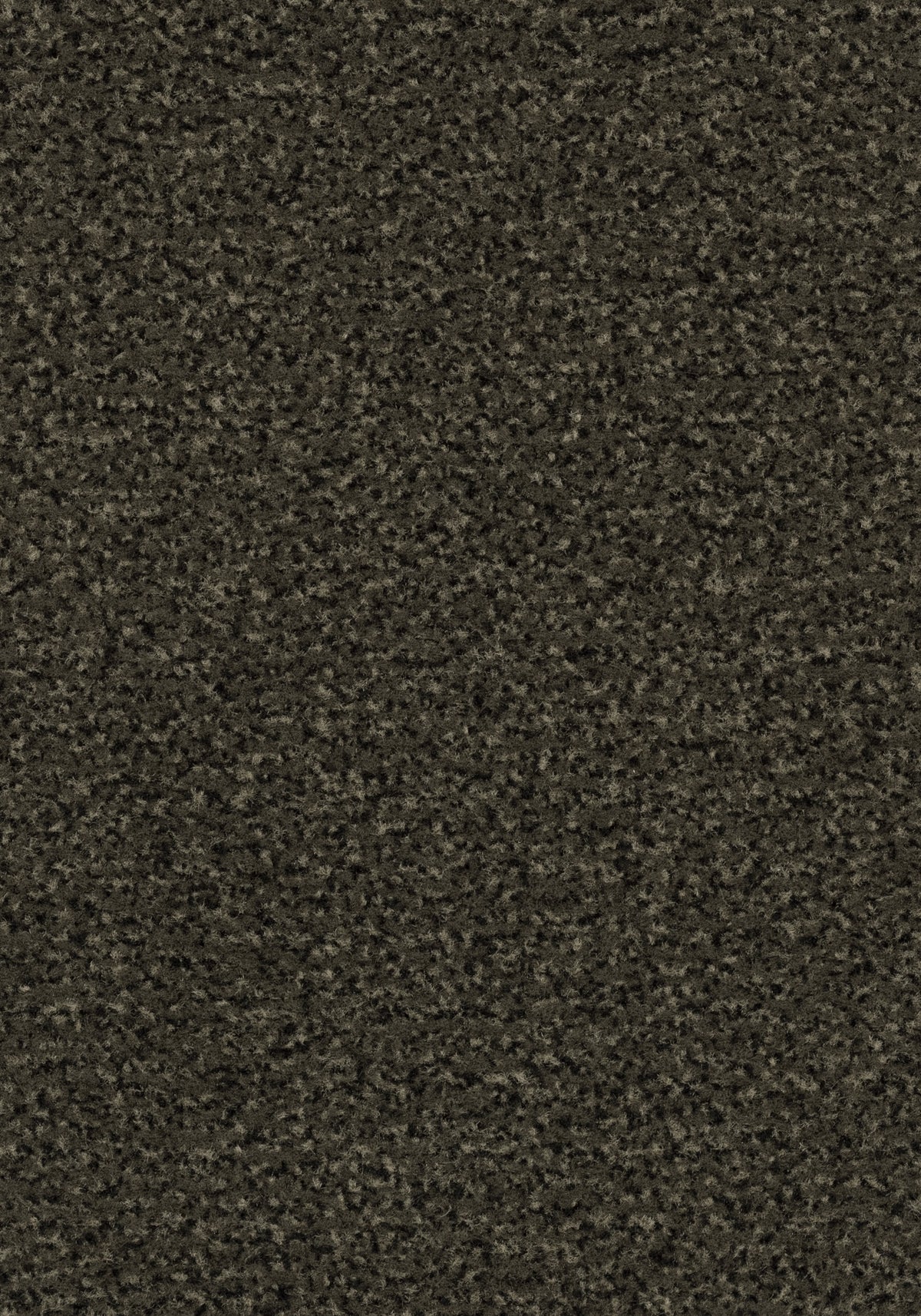 Forbo Coral Classic 4734 Spun Gold Droog- en schoonloopmat op maat