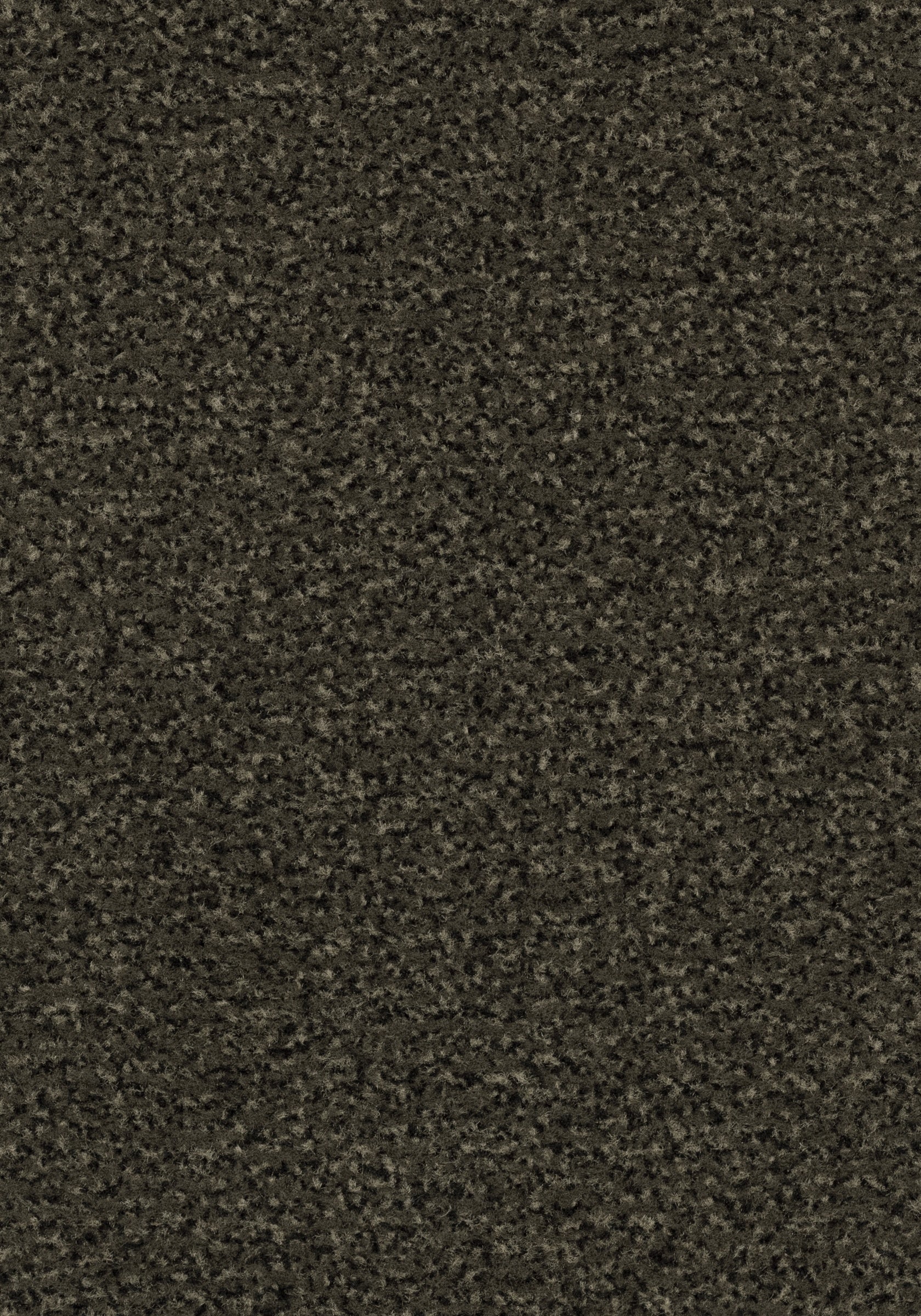 Forbo Coral Classic 4734 Spun Gold Droog- en schoonloopmat op maat