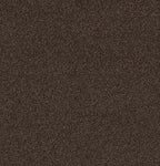 Forbo Coral Classic 4784 Coffee – Droog- en schoonloopmat
