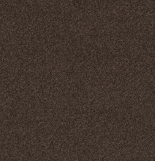Forbo Coral Classic 4784 Coffee – Droog- en schoonloopmat op maat