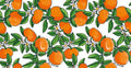 Staal Hookedonwalls Enriquezland Tangerine 25540