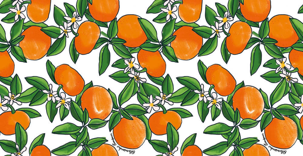 Staal Hookedonwalls Enriquezland Tangerine 25540