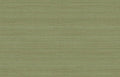 Staal Hookedonwalls JV 602 Jaipur Uni Soie Tropical 6861
