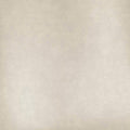 Staal Hookedonwalls Marta Cortese Shimmer 37807