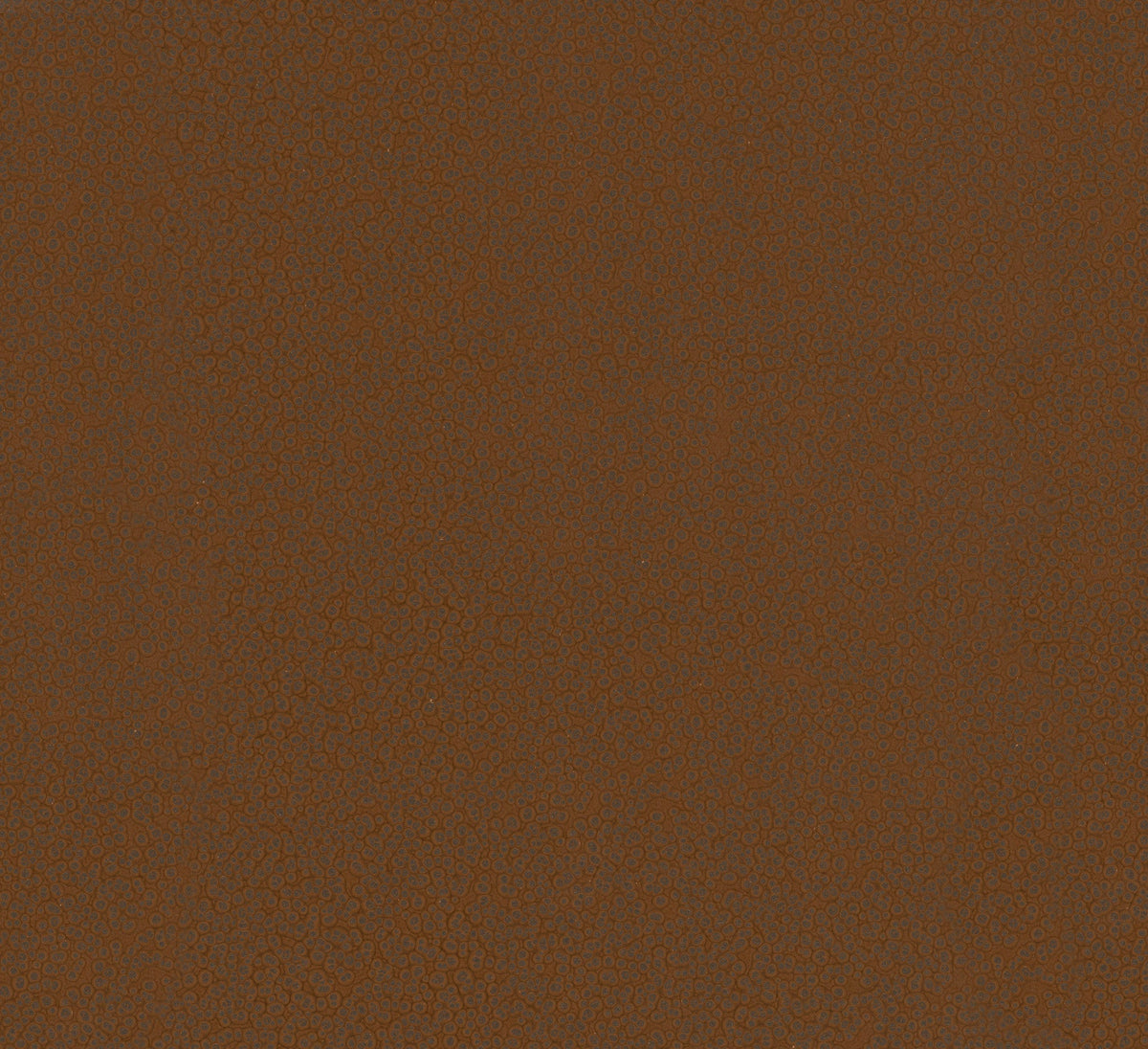 Staal Hookedonwalls Material Matters Hammer Blow 24727