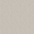 Staal Hookedonwalls Natural Chic Ambre 32610