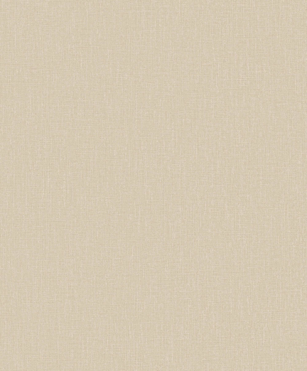 Staal Hookedonwalls Neutralizer 01 Plain 31607