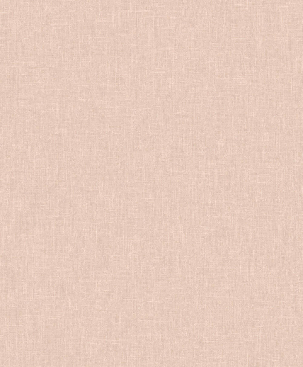 Staal Hookedonwalls Neutralizer 01 Plain 31619