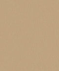 Staal Hookedonwalls Neutralizer 01 Plain 31622