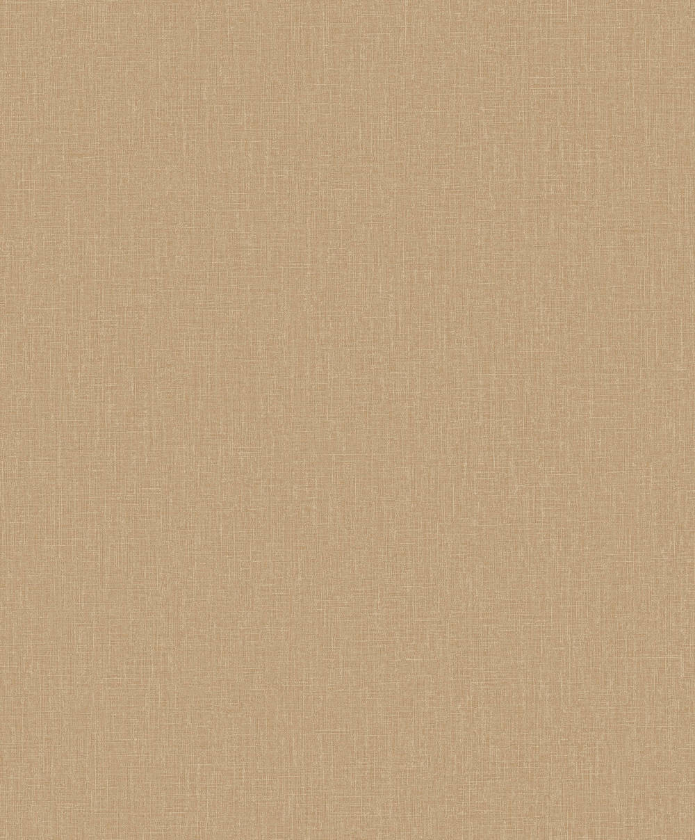 Staal Hookedonwalls Neutralizer 01 Plain 31622