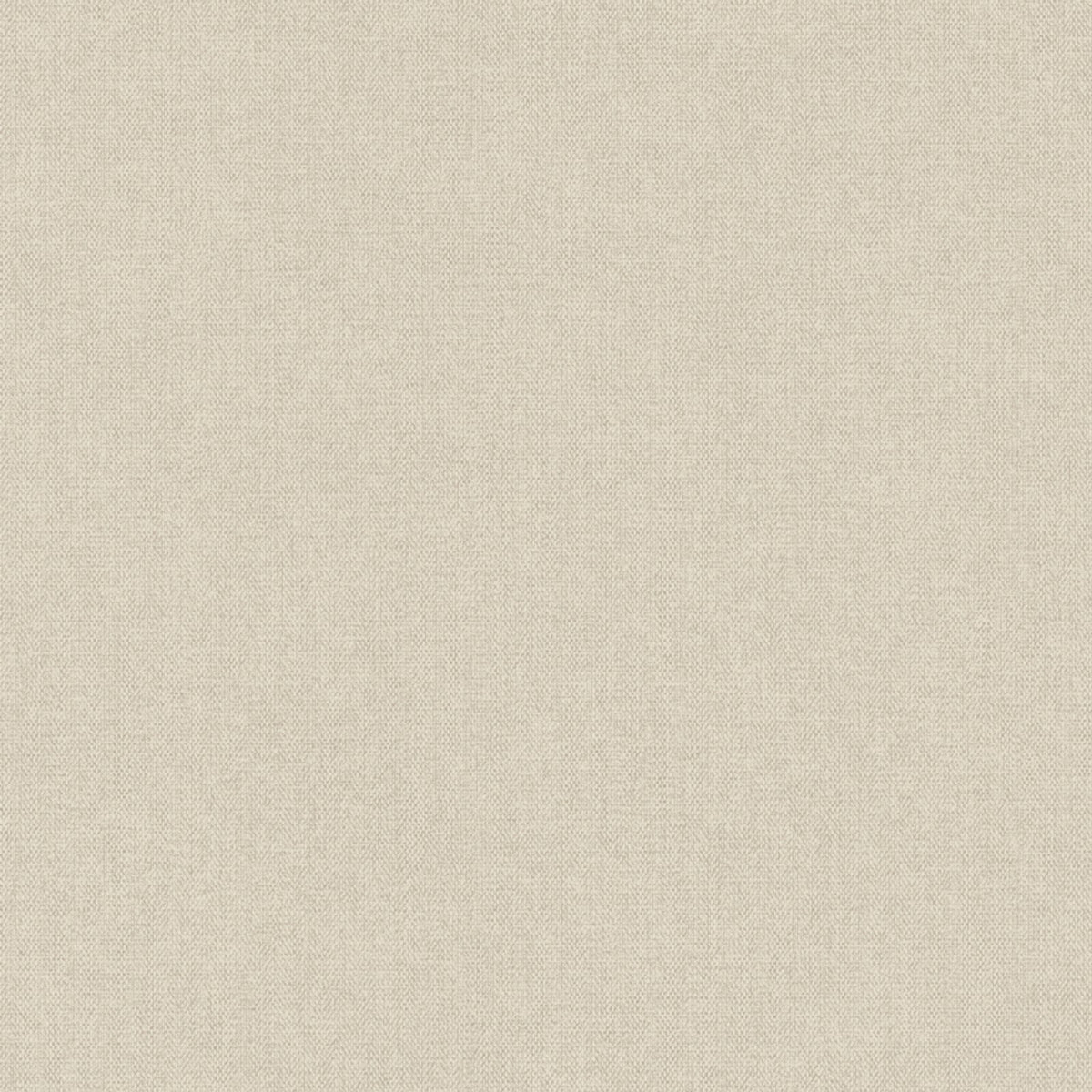 Staal Hookedonwalls Passe Partout 2026 Casa Blanca Lova 29764