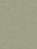 Staal Hookedonwalls Passe Partout 2026 Colour Vibes 29807