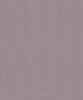 Staal Hookedonwalls Passe Partout 2026 Colour Vibes 29851