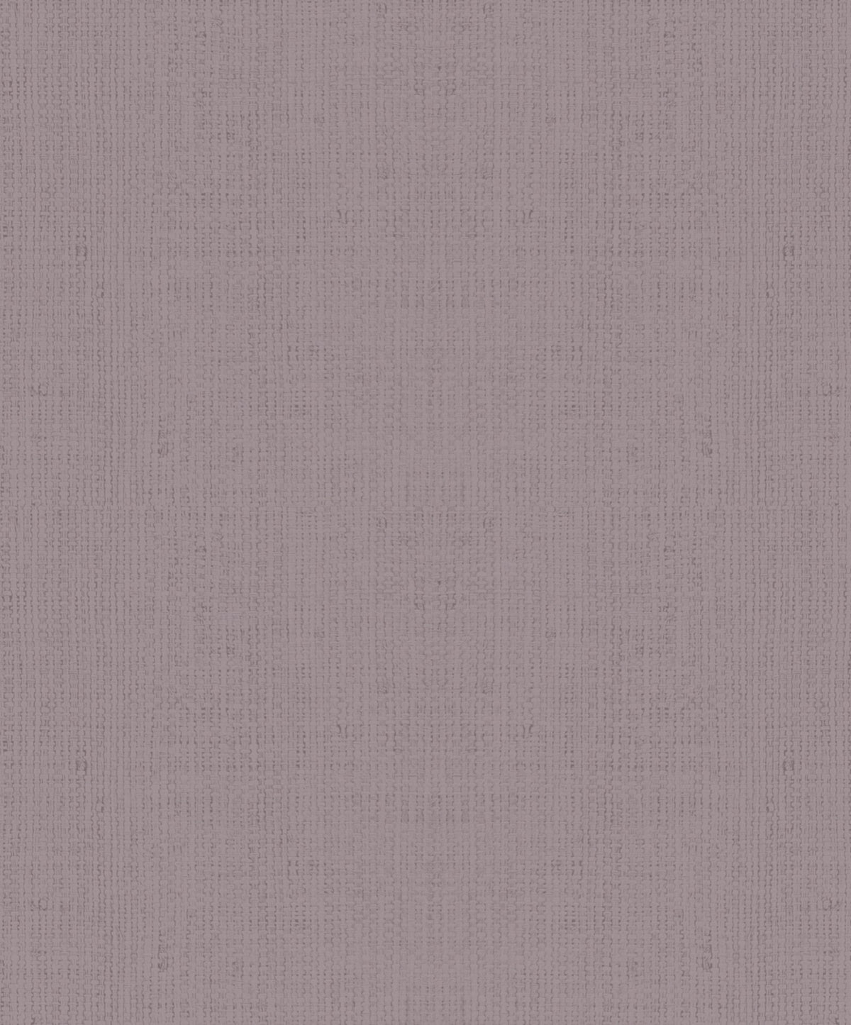 Staal Hookedonwalls Passe Partout 2026 Colour Vibes 29851
