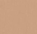 Staal Hookedonwalls Passe Partout 2026 Colour Vibes 29870