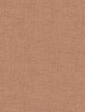 Staal Hookedonwalls Passe Partout 2026 Colour Vibes 29872
