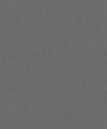 Staal Hookedonwalls Passe Partout 2026 Colour Vibes 29930
