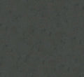 Staal Hookedonwalls Passe Partout 2026 Colour Vibes 29934