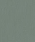 Staal Hookedonwalls Passe Partout 2026 Colour Vibes 29943