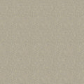 Staal Hookedonwalls Passe Partout 2026 Colour Vibes Ambre 29830