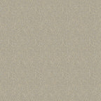 Staal Hookedonwalls Passe Partout 2026 Colour Vibes Ambre 29830