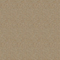 Staal Hookedonwalls Passe Partout 2026 Colour Vibes Ambre 29905