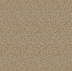 Staal Hookedonwalls Passe Partout 2026 Colour Vibes Ambre 29905