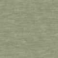 Staal Hookedonwalls Passe Partout 2026 Colour Vibes Corso 29815
