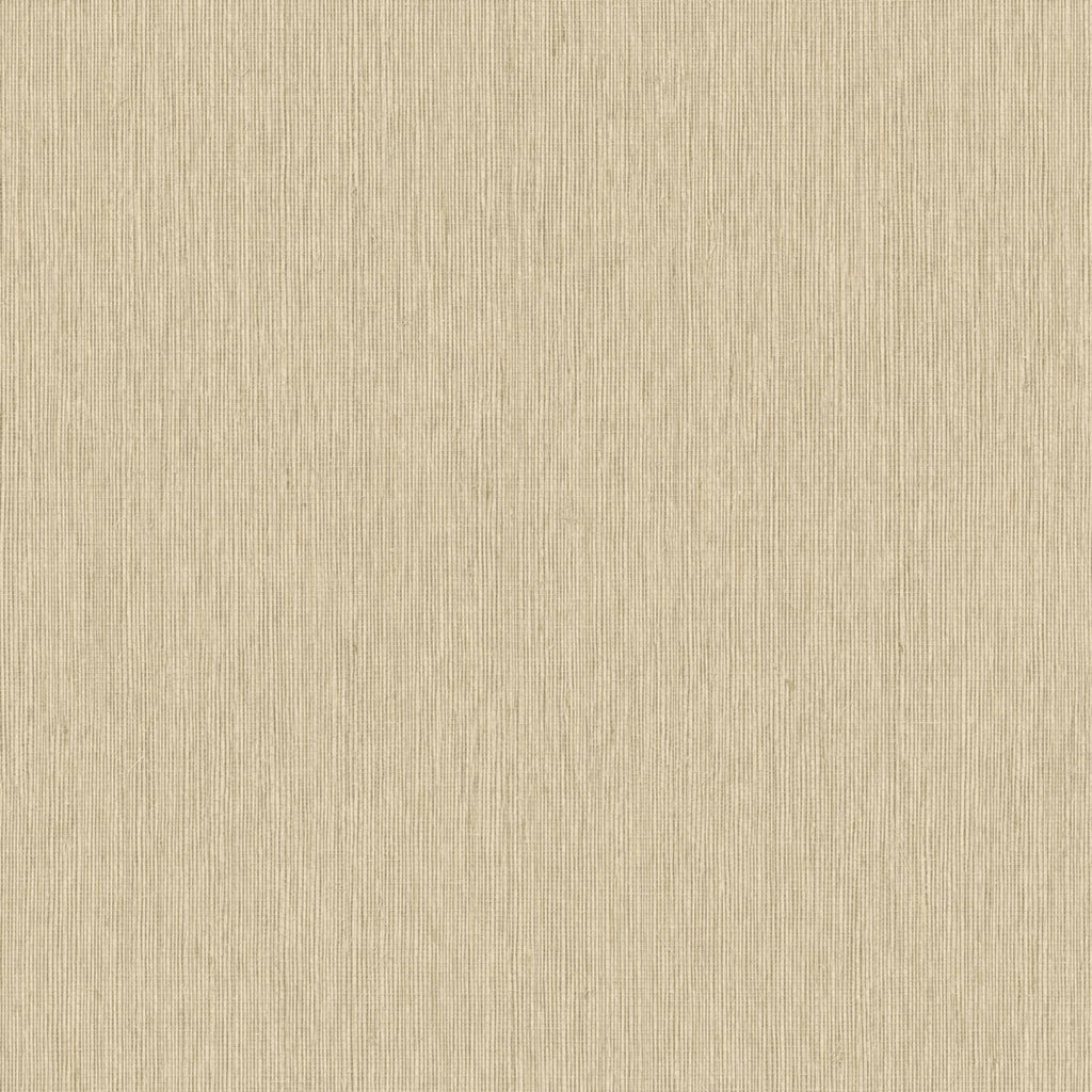 Staal Hookedonwalls Passe Partout 2026 Colour Vibes Filo 29869
