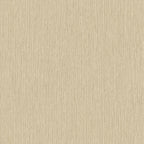 Staal Hookedonwalls Passe Partout 2026 Colour Vibes Filo 29869