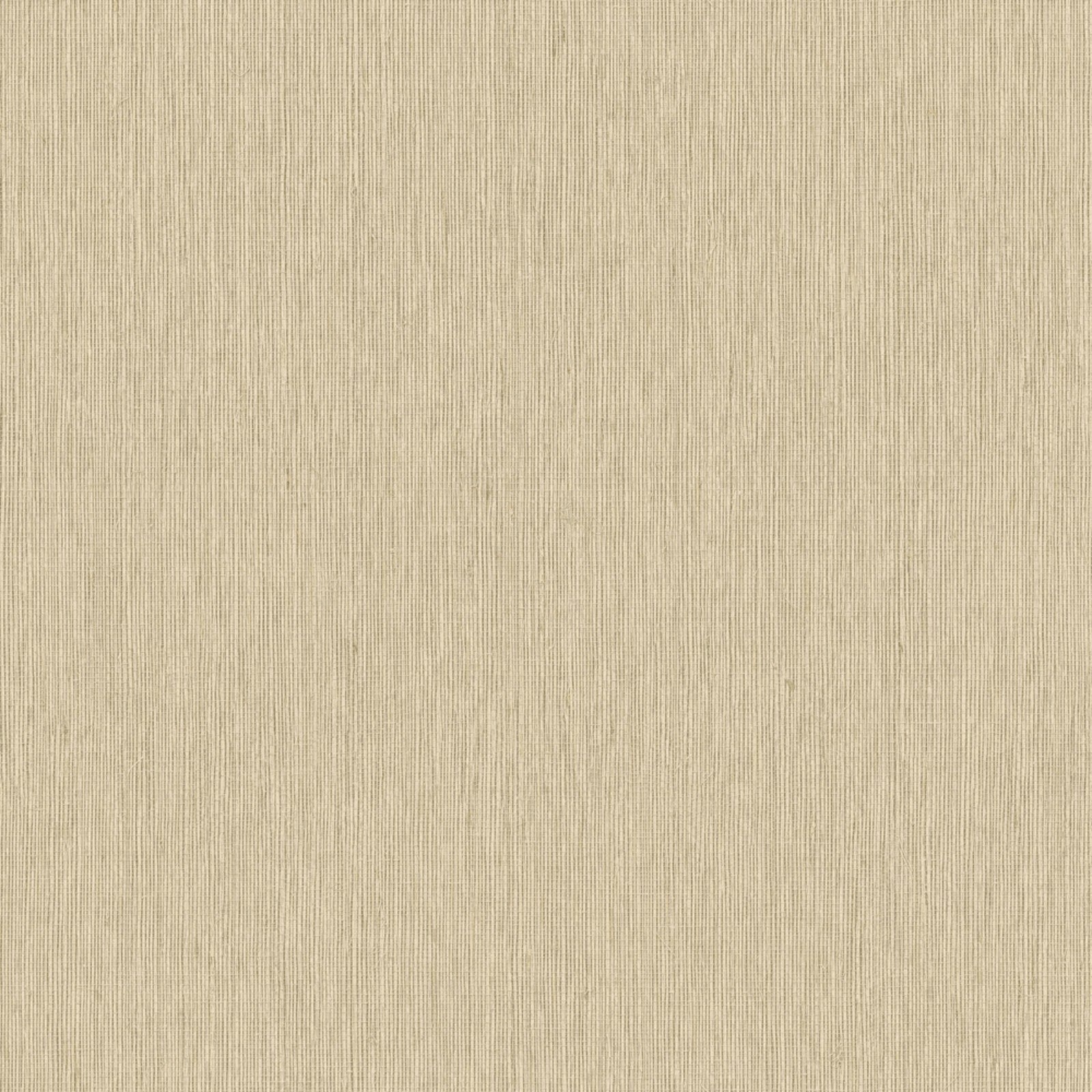 Staal Hookedonwalls Passe Partout 2026 Colour Vibes Filo 29869