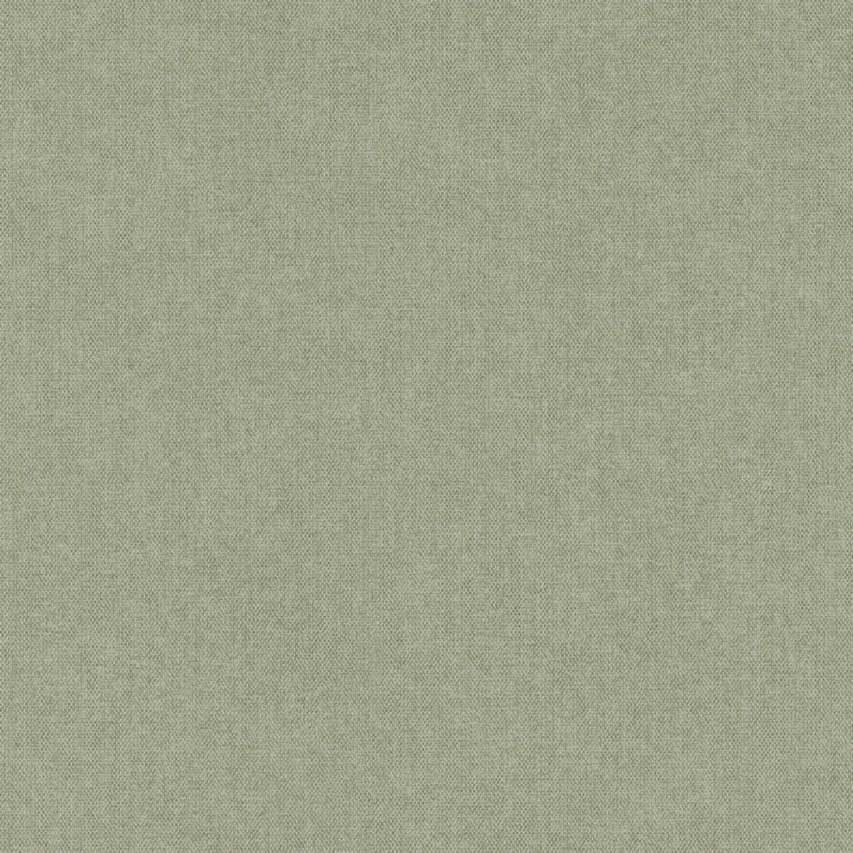 Staal Hookedonwalls Passe Partout 2026 Colour Vibes Lova 29801