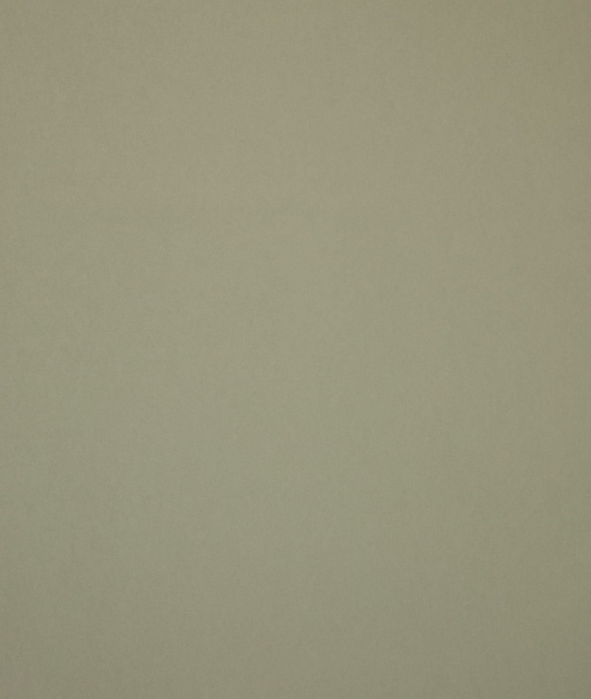 Staal Hookedonwalls Passe Partout 2026 Colour Vibes Muro 29813