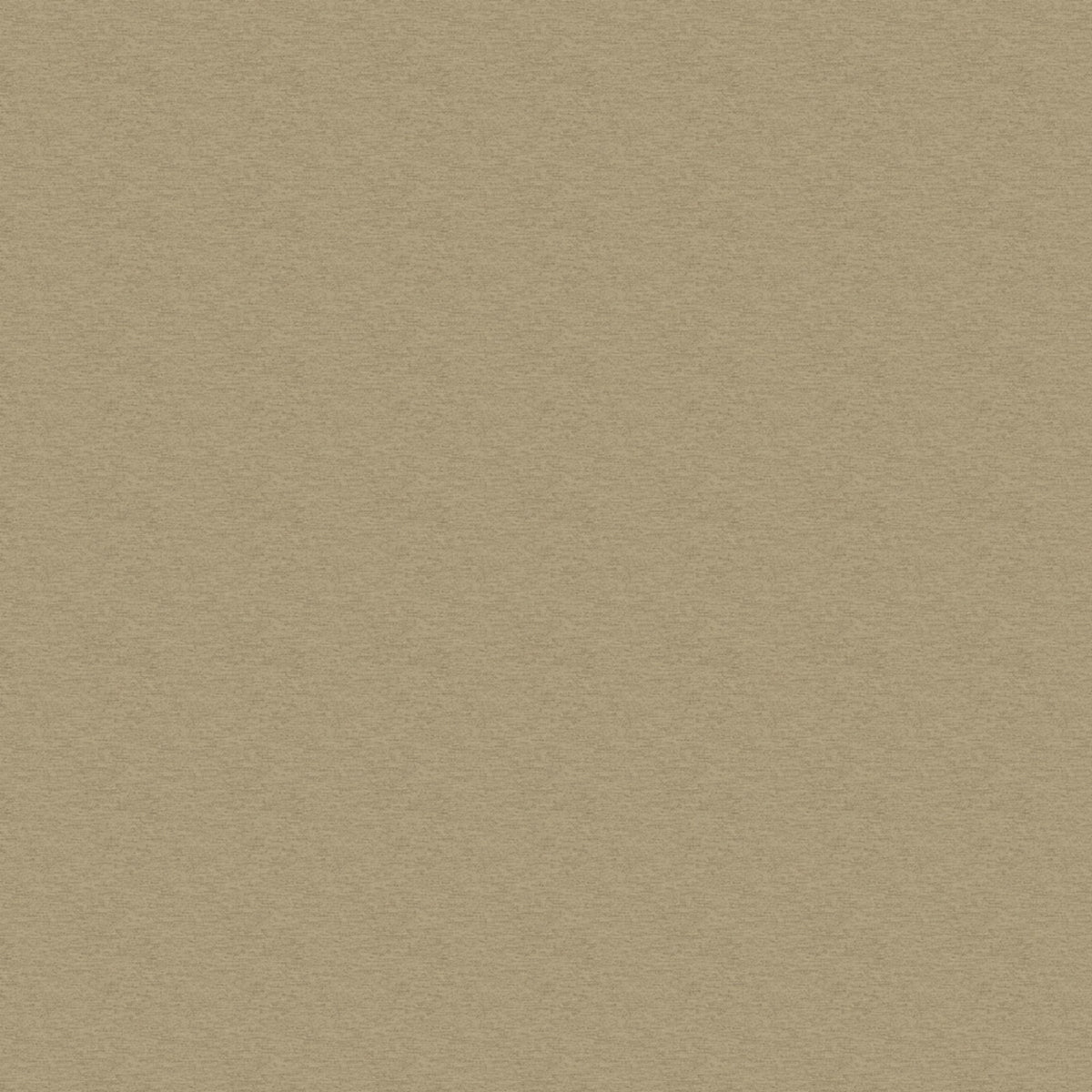 Staal Hookedonwalls Passe Partout 2026 Colour Vibes Neapolis 29834