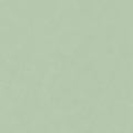 Staal Hookedonwalls Passe Partout 2026 Colour Vibes Pelle 29805