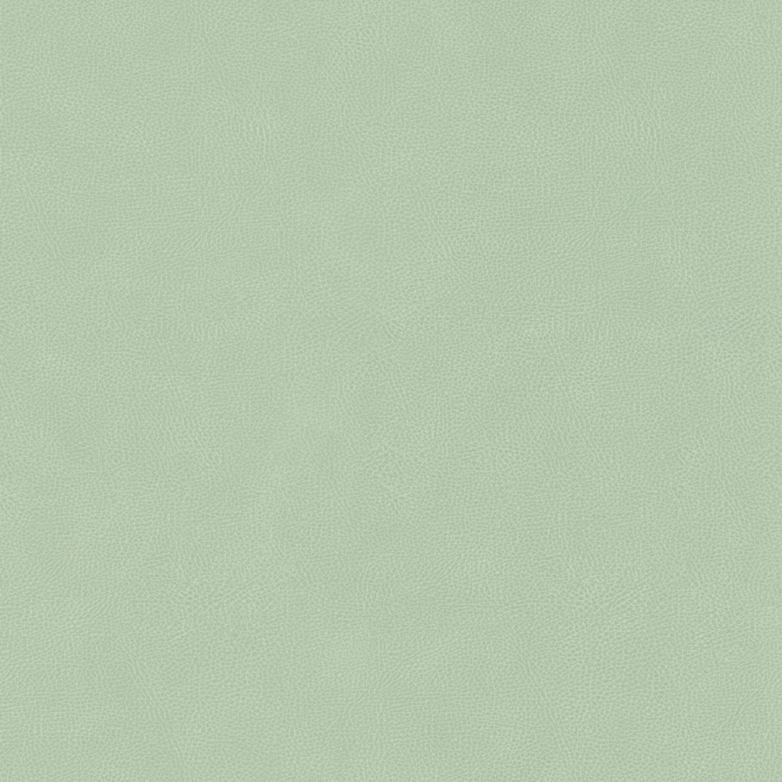 Staal Hookedonwalls Passe Partout 2026 Colour Vibes Pelle 29805