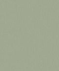 Staal Hookedonwalls Passe Partout 2026 Colour Vibes Plain 29804