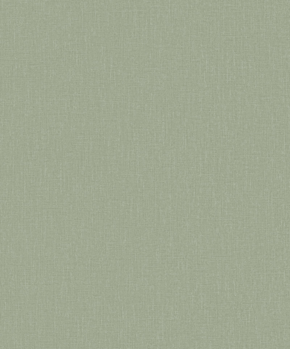 Staal Hookedonwalls Passe Partout 2026 Colour Vibes Plain 29804