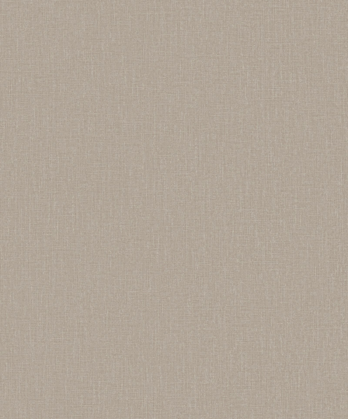Staal Hookedonwalls Passe Partout 2026 Colour Vibes Plain 29838