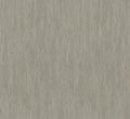 Staal Hookedonwalls Passe Partout 2026 Colour Vibes Plain 29843