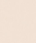Staal Hookedonwalls Passe Partout 2026 Colour Vibes Plain 29860
