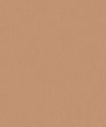 Staal Hookedonwalls Passe Partout 2026 Colour Vibes Plain 29871