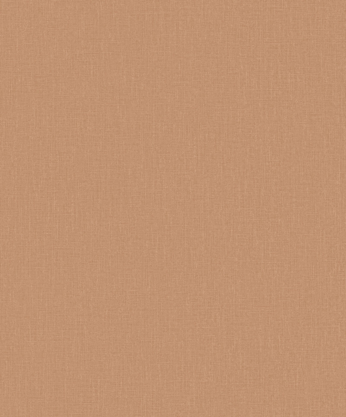 Staal Hookedonwalls Passe Partout 2026 Colour Vibes Plain 29871