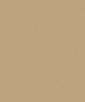 Staal Hookedonwalls Passe Partout 2026 Colour Vibes Plain 29886