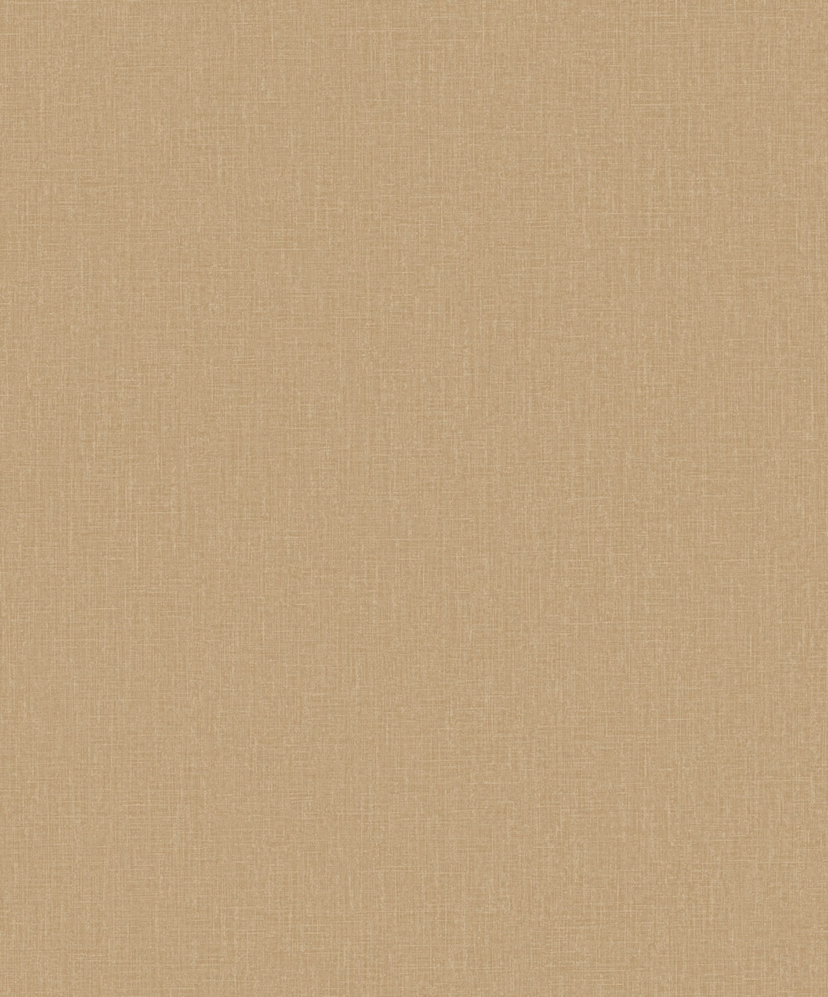 Staal Hookedonwalls Passe Partout 2026 Colour Vibes Plain 29886