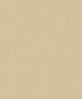 Staal Hookedonwalls Passe Partout 2026 Colour Vibes Plain 29896