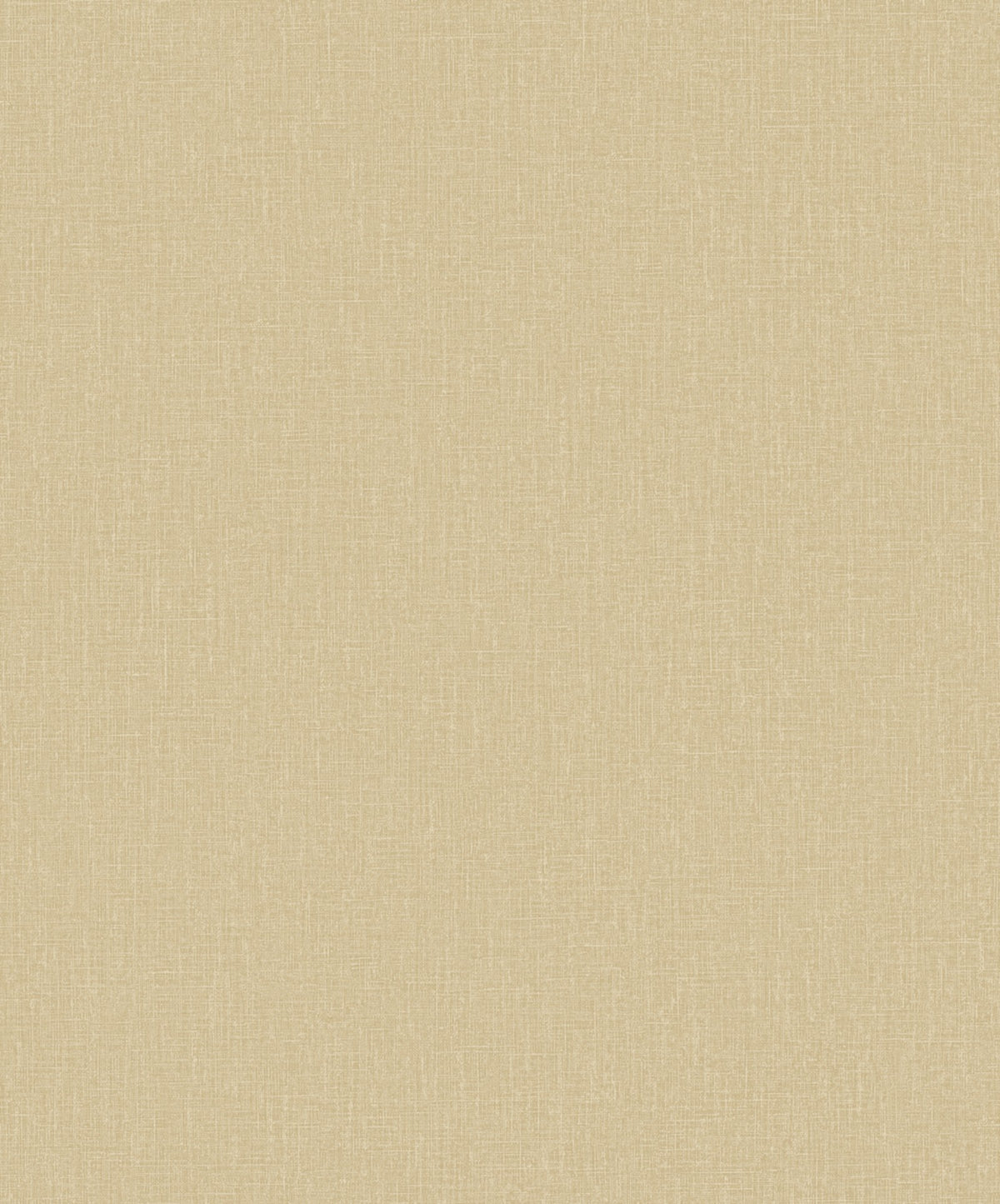 Staal Hookedonwalls Passe Partout 2026 Colour Vibes Plain 29896