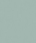 Staal Hookedonwalls Passe Partout 2026 Colour Vibes Plain 29938